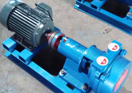 water ring vacuum pump manufacturer