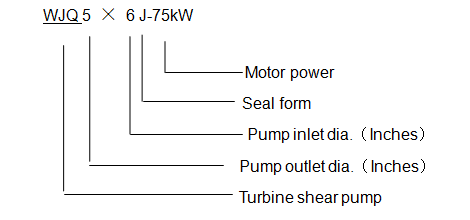 Shear pump model explanation